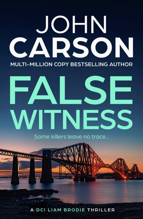 Cover image for book False Witness