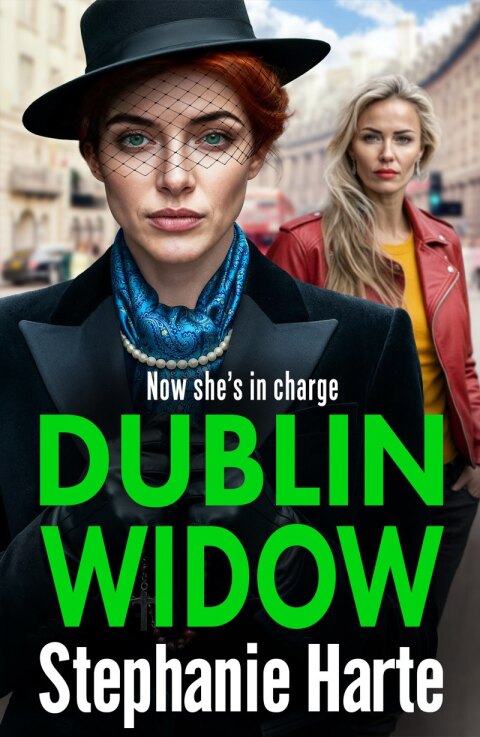 Cover image for book Dublin Widow