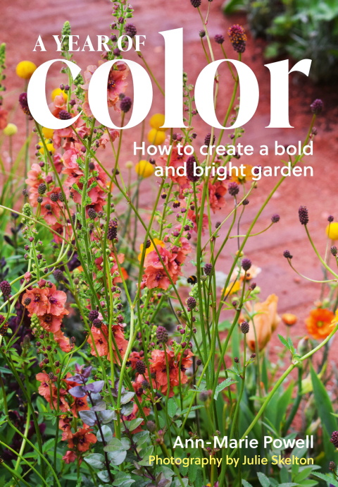 Cover image for book A Year of Color