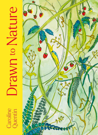 Drawn to Nature