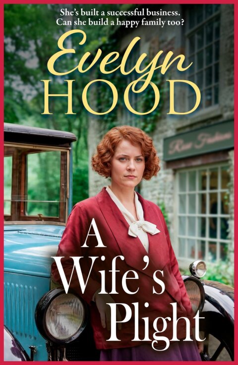 Cover image for book A Wife's Plight