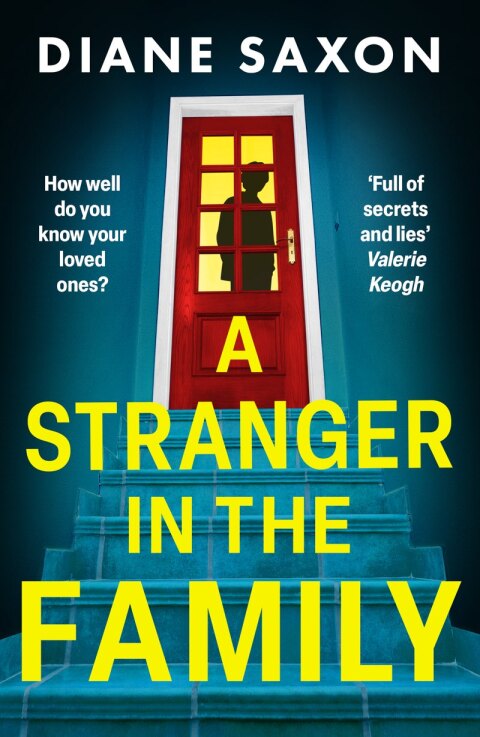Cover image for book A Stranger in the Family