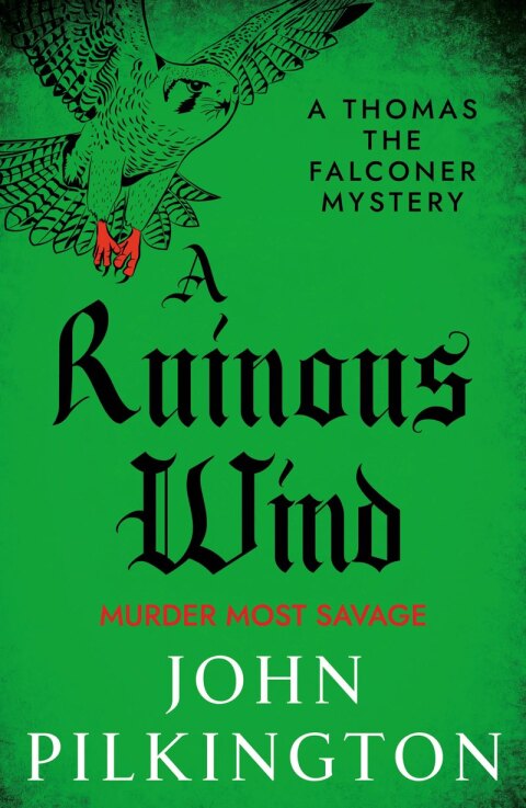 Cover image for book A Ruinous Wind