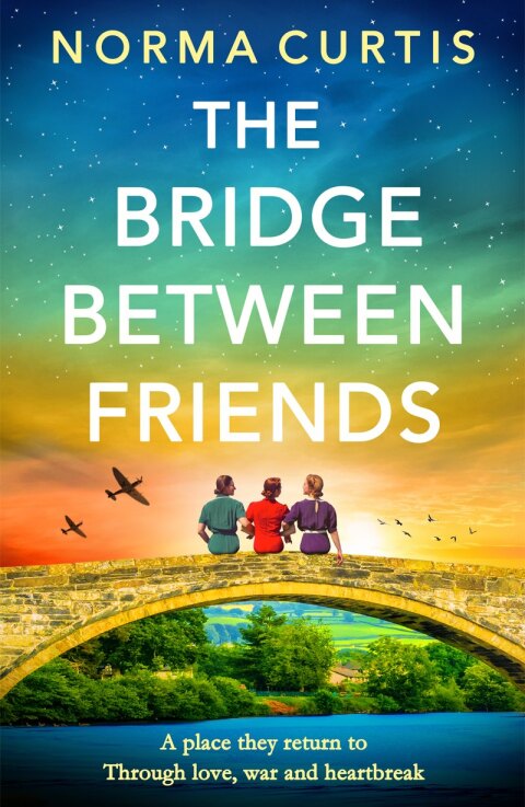 Cover image for book The Bridge Between Friends