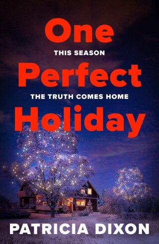 One Perfect Holiday