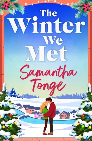 The Winter We Met