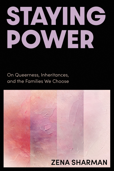 Cover image for book Staying Power