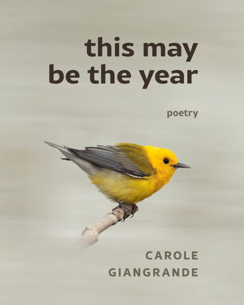 Cover image for book This May Be The Year