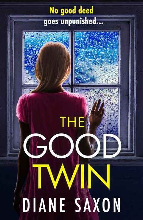 Cover image for book The Good Twin