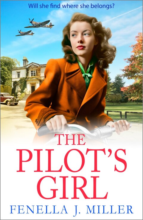 Cover image for book The Pilot's Girl