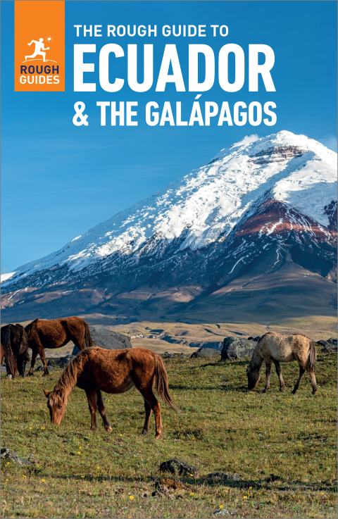 Cover image for book The Rough Guide to Ecuador and the Galapagos: Travel Guide