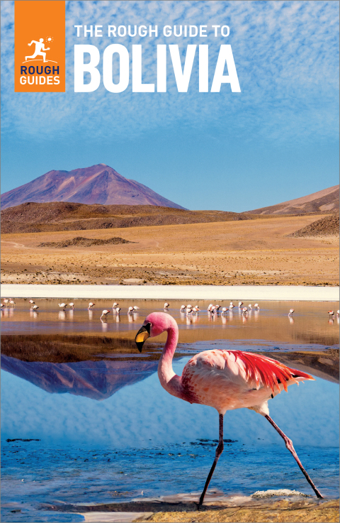 Cover image for book The Rough Guide to Bolivia: Travel Guide