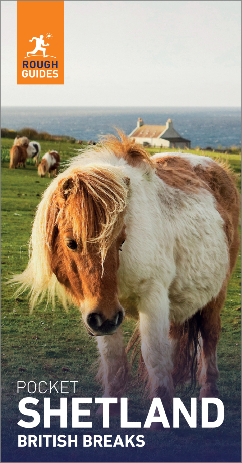 Cover image for book Rough Guides Pocket British Breaks Shetland: Travel Guide