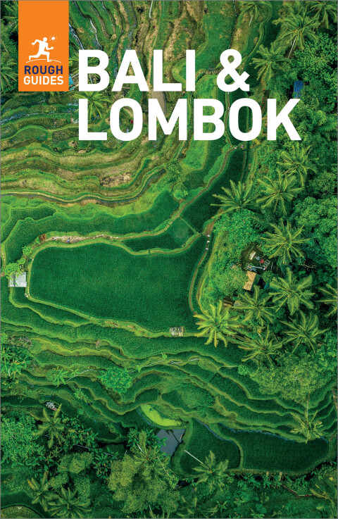 Cover image for book Rough Guides Bali and Lombok: Travel Guide eBook