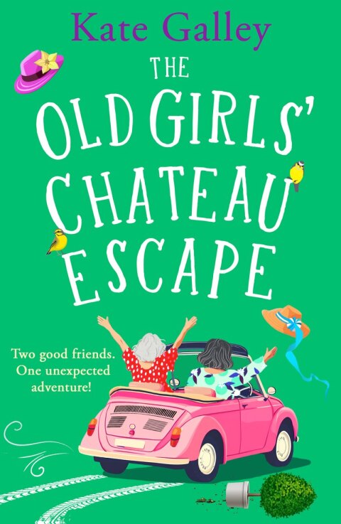 Cover image for book The Old Girls' Chateau Escape
