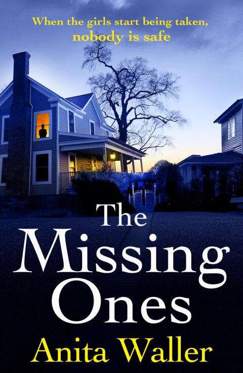 Cover image for book The Missing Ones