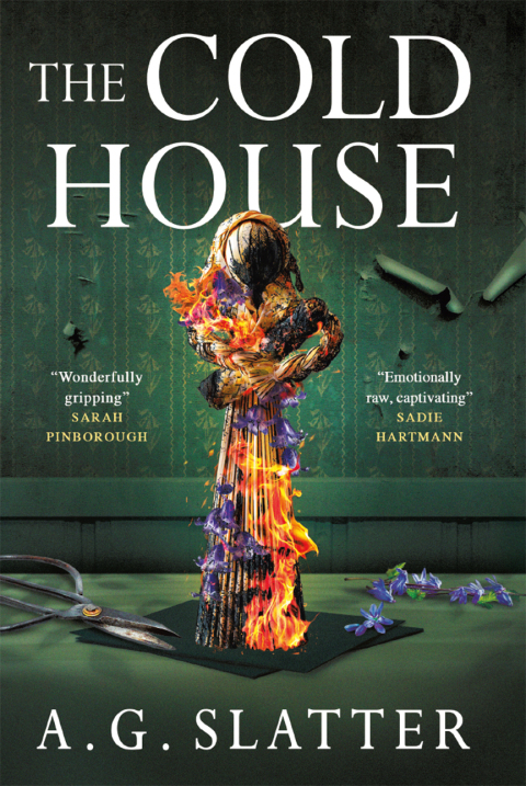 Cover image for book The Cold House