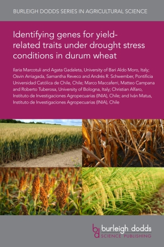 Identifying genes for yield-related traits under drought stress conditions in durum wheat