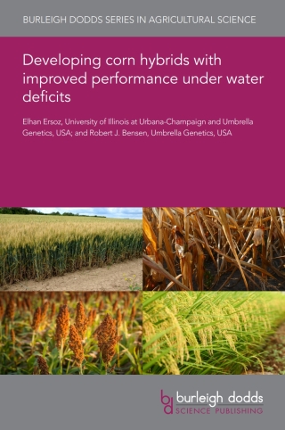 Developing corn hybrids with improved performance under water deficits