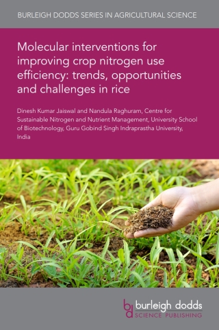 Molecular interventions for improving crop nitrogen use efficiency: trends, opportunities and challenges in rice