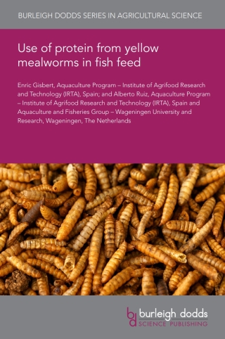 Use of protein from yellow mealworms in fish feed