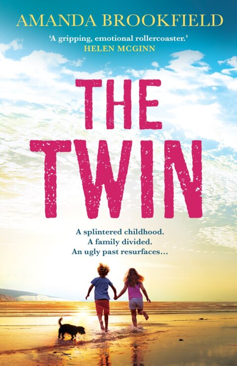 Cover image for book The Twin