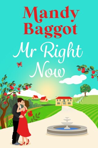 Mr Right Now