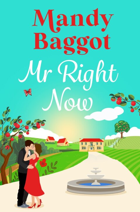 Cover image for book Mr Right Now