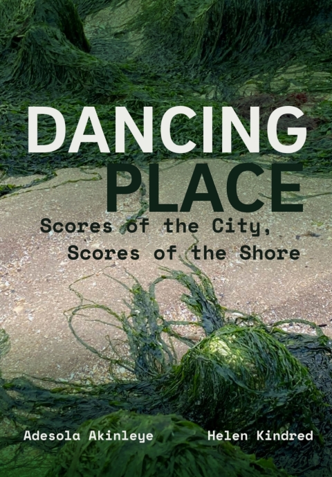 Cover image for book Dancing Place
