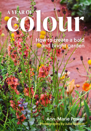 A Year of Colour
