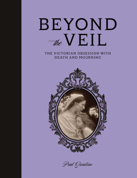 Cover image for book Beyond the Veil