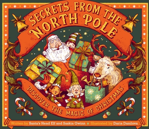 Cover image for book Secrets from the North Pole