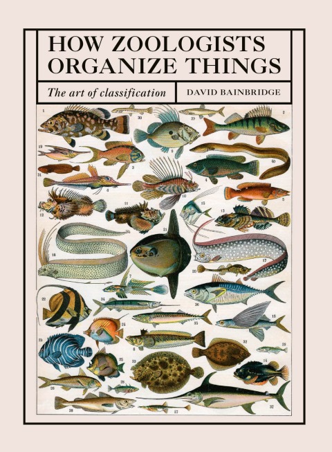 Cover image for book How Zoologists Organize Things