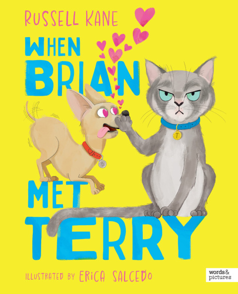 Cover image for book When Brian Met Terry