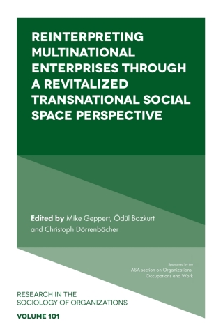 Reinterpreting Multinational Enterprises through a Revitalized Transnational Social Space Perspective