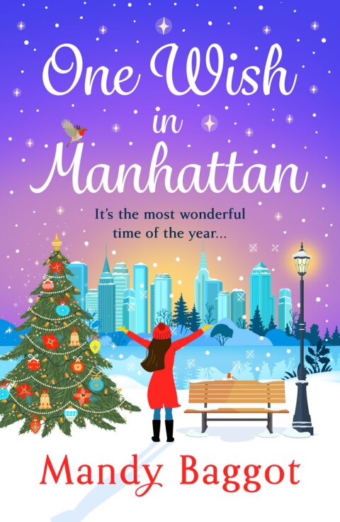 One Wish in Manhattan 