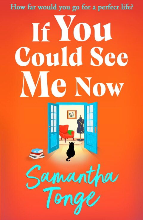 Cover image for book If You Could See Me Now