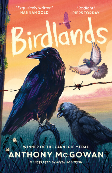 Cover image for book Birdlands