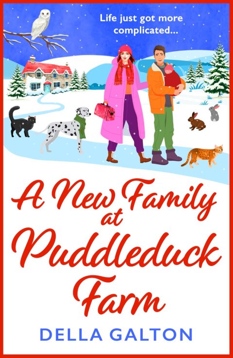 Cover image for book A New Family at Puddleduck Farm