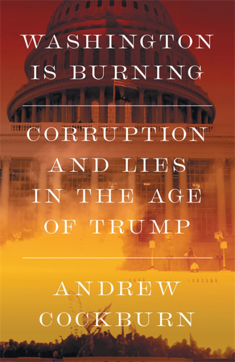 Cover image for book Washington Is Burning