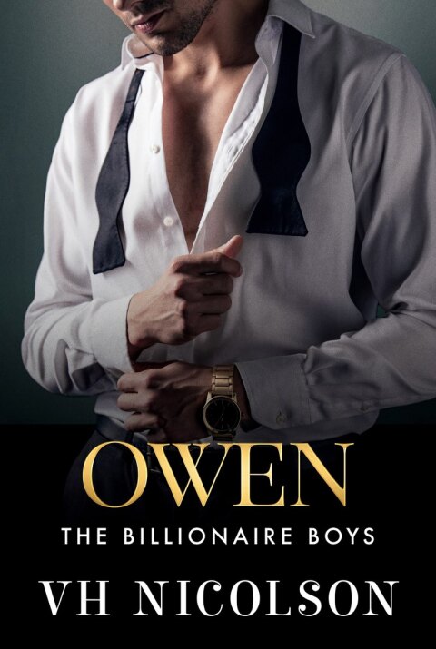 Cover image for book Owen