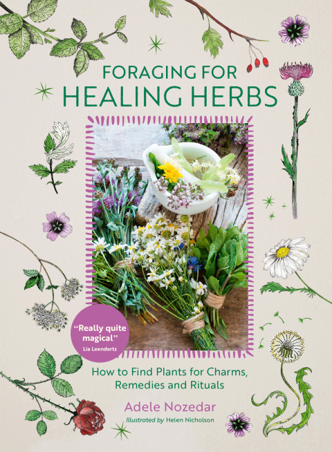 Cover image for book Foraging for Healing Herbs