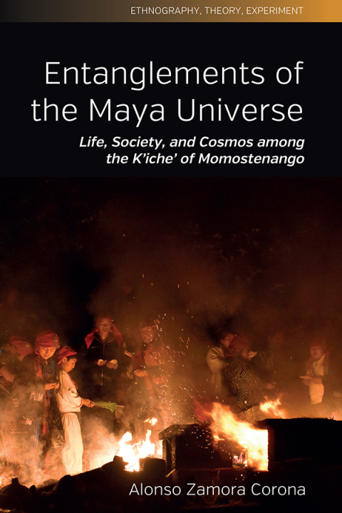 Cover image for book Entanglements of the Maya Universe