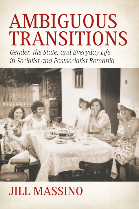 Cover image for book Ambiguous Transitions