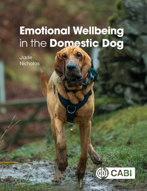 Cover image for book Emotional Wellbeing in the Domestic Dog