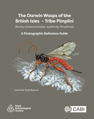 The Darwin Wasps of the British Isles  – Tribe Pimplini (family Ichneumonidae, subfamily Pimplinae)