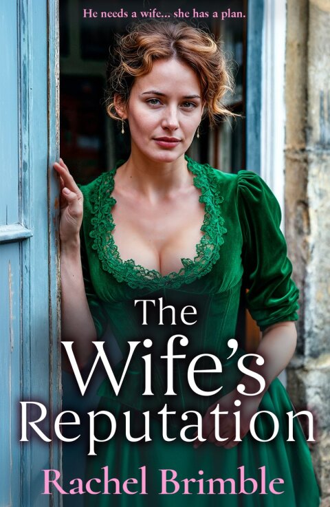 Cover image for book The Wife's Reputation