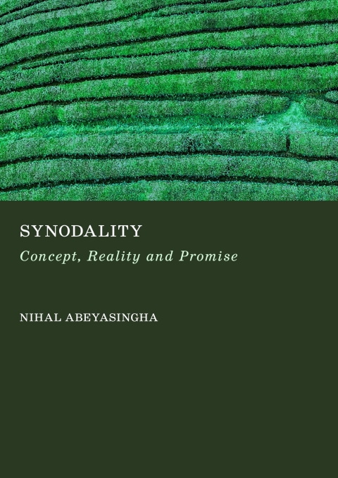 Cover image for book Synodality