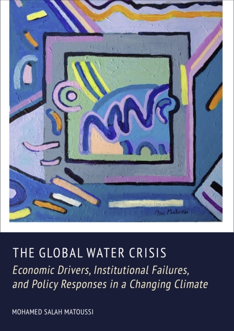 Cover image for book The Global Water Crisis: Economic Drivers, Institutional Failures, and Policy Responses in a Changing Climate