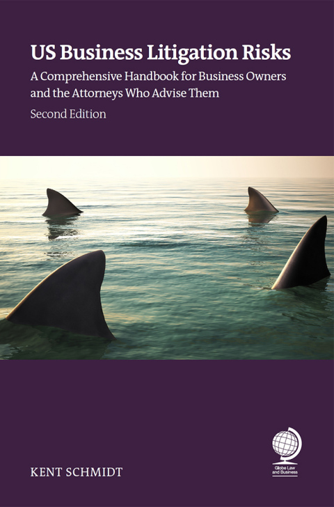 Cover image for book US Business Litigation Risks
